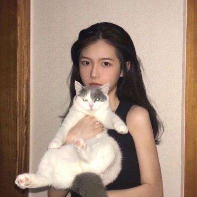 刀塔联盟变态版下载